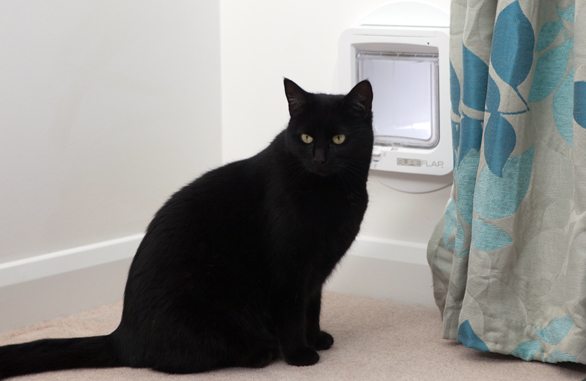 Sureflap Microchip Cat Flap Brick Wall Inside.png