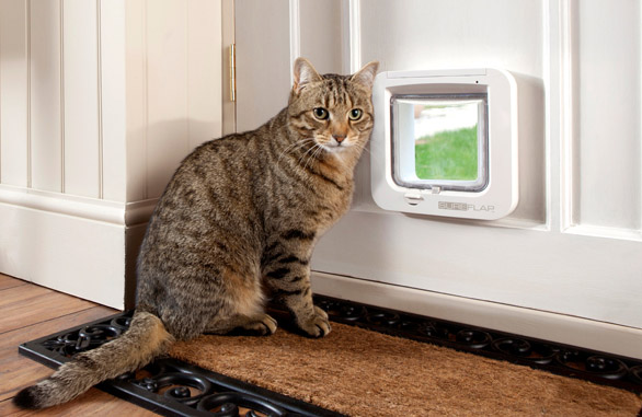 Sureflap Microchip Cat Flap Door.png