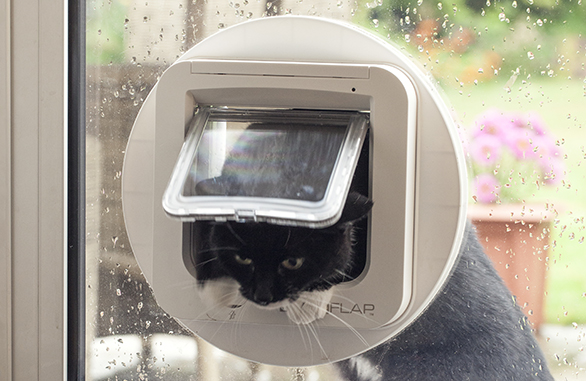 Sureflap Microchip Cat Flap Sliding Glass Door.png