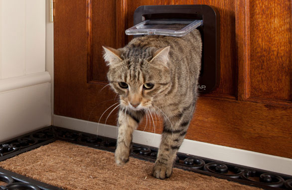 Sureflap Microchip Cat Flap Wooden Door.png